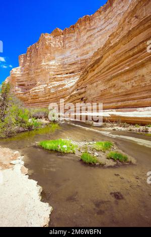 Flache Pfütze im Canyon Stockfoto