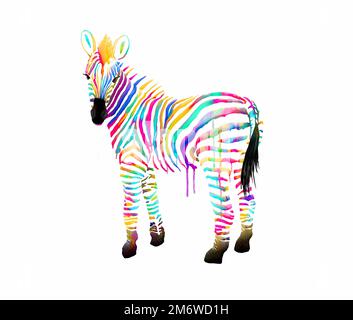 Schickes Zebra mit bunten Streifen Stockfoto