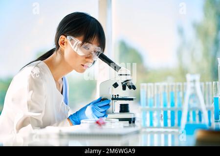 Porträt eines asiatischen Wissenschaftlers, der durch ein Mikroskop an der medizinischen Forschung im modernen Labor schaut Stockfoto