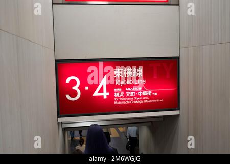 Tokio, Japan. 12. November 2022. Ein Toyoko-Bahnsteig am Bahnhof Shibuya mit lokalem und Expressservice nach Kawasaki und Yokohama. Rush Hour, Rapid Transit. Schnellbahn, Tokyo Metro, Tokyu Corporation, Pendler. (Kreditbild: © Taidgh Barron/ZUMA Press Wire) Stockfoto