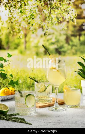 Vier farbenfrohe Sommercocktails auf dem Tisch. Starke Seltercocktails mit verschiedenen Früchten: Limette und Zitrone. Sommerparty im Freien Stockfoto