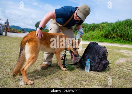 USA Air Force Staff Sgt. Shanna McCarter, 18. Sicherheitsgeschwader, der mit Hunden arbeitet, liefert Wasser für ihre MWD, Dina, in Okuma Beach, Japan, Mai 6, 2022. Die Übung in Okuma ermöglichte es den MWD-Handlern und ihren Hunden, ihre Suchverfahren in einer ungewohnten Umgebung zu üben und die Fähigkeiten der Teams in unterschiedlichen Umgebungen zu messen. Stockfoto