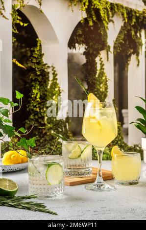 Vier farbenfrohe Sommercocktails auf dem Tisch. Starke Seltercocktails mit verschiedenen Früchten: Limette und Zitrone. Sommerparty im Freien Stockfoto