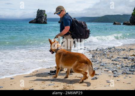 USA Air Force Staff Sgt. Shanna McCarter, 18. Sicherheitsgeschwader, die mit Hunden arbeitet, ermutigt ihre MWD, Dina, sich am Okuma Beach, Japan, am 6. Mai 2022 im Meer abzukühlen. McCarter und Dina haben eines der vier MWD-Suchteams zusammengestellt, die das Militärresort durchkämmten und potentielle reale Szenarien simulierten. Stockfoto