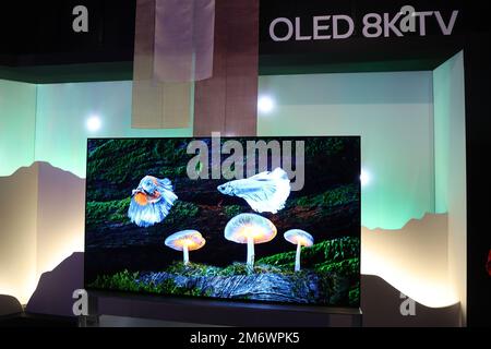 Las Vegas, NV, USA. 5. Januar 2023. Blick auf die CES 2023 auf der Las Vegas Convention in Las Vegas, Nevada am 5. Januar 2023. Kredit: Mpi34/Media Punch/Alamy Live News Stockfoto