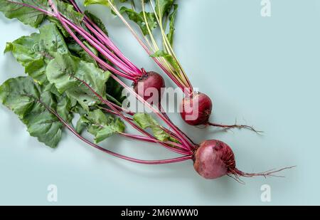 Ein Haufen frischer Rote Bete. Frisch geerntet. Frisches Gemüse auf pastellfarbenem Hintergrund. Gesunde Bio-Lebensmittel Stockfoto