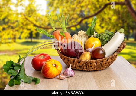 Frisch geerntet. Frisches Bauerngemüse im Korb. Gesunde Bio-Lebensmittel, rohe Karotten, Rote Bete, Kartoffeln und Tomaten Stockfoto