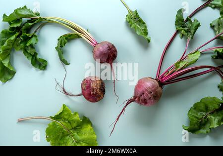 Ein Haufen frischer Rote Bete. Frisch geerntet. Frisches Gemüse auf pastellfarbenem Hintergrund. Gesunde Bio-Lebensmittel Stockfoto