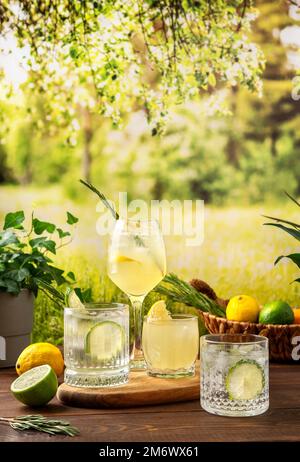 Vier farbenfrohe Sommercocktails auf einem Holztisch. Harte Seltercocktails mit verschiedenen Früchten: Limette und Zitrone. Sommerparty Tisch o Stockfoto