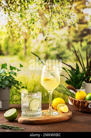 Zwei farbenfrohe Sommercocktails auf dem Tisch. Harte Seltercocktails mit verschiedenen Früchten: Limette und Zitrone. Sommerparty Tisch Outdo Stockfoto