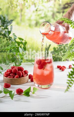 Erfrischende alkoholfreie Cocktails im Sommer. Himbeerlimonade mit frischem Rosmarin garniert. Sommer Himbeergetränk mit Spargel Stockfoto