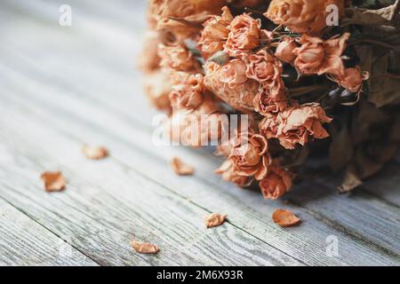 Getrocknete Rosen auf einem Holztisch, nostalgisches Stilleben in sanften Beigefarben Stockfoto