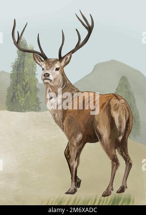 Hirsch im Wald Vektor Stock Vektor