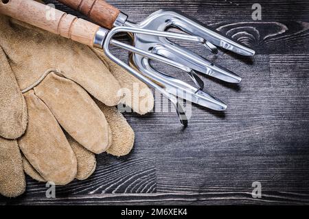 Gartenkelle Gabelrechen Leder-Sicherheitshandschuhe Landwirtschaftskonzept. Stockfoto