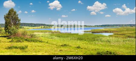 Panoramablick auf den See im Sommer, Ukraine, Region Lemberg. Stockfoto