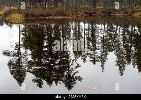 See im Lemmenjoki-Nationalpark, in der Nähe von Inari, Finnland Stockfoto