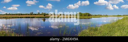 Sommer rushy Panoramablick auf den See mit Wolken Reflexionen. Stockfoto