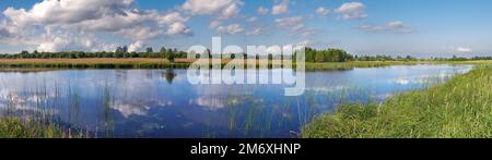 Sommerlicher rauschiger Panoramablick auf den See mit Wolkenreflexionen, Ukraine. Stockfoto