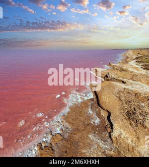 Rosa, extrem salzige Syvash Lake, gefärbt von Mikroalgen mit kristallinen Salzablagerungen. Auch bekannt als Putridensee oder Rotte Stockfoto
