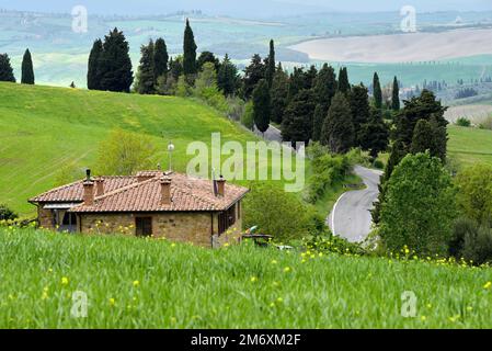 Blick auf die traditionelle toskanische Farm mit Zypressenallee Stockfoto