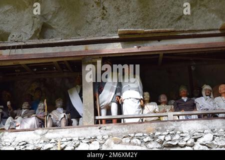 Hölzerne Statue, die den Verstorbenen repräsentiert, der auf Felsklippen platziert wird. Diese Methode ist eine Tradition, die als Grab für Menschen benutzt wird, die in der Toraja starben Stockfoto