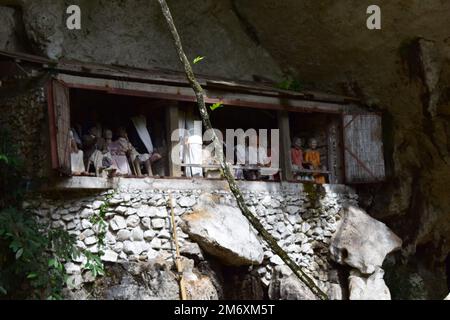 Hölzerne Statue, die den Verstorbenen repräsentiert, der auf Felsklippen platziert wird. Diese Methode ist eine Tradition, die als Grab für Menschen benutzt wird, die in der Toraja starben Stockfoto