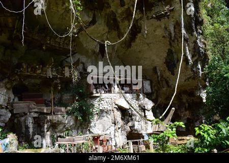 Hölzerne Statue, die den Verstorbenen repräsentiert, der auf Felsklippen platziert wird. Diese Methode ist eine Tradition, die als Grab für Menschen benutzt wird, die in der Toraja starben Stockfoto