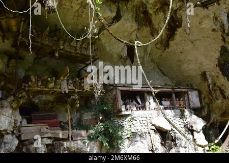 Hölzerne Statue, die den Verstorbenen repräsentiert, der auf Felsklippen platziert wird. Diese Methode ist eine Tradition, die als Grab für Menschen benutzt wird, die in der Toraja starben Stockfoto