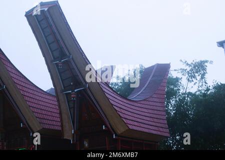 Tonkonan, hier ist die Heimat für Leichen aus Toraja Süd-Sulawesi, Indonesien Stockfoto