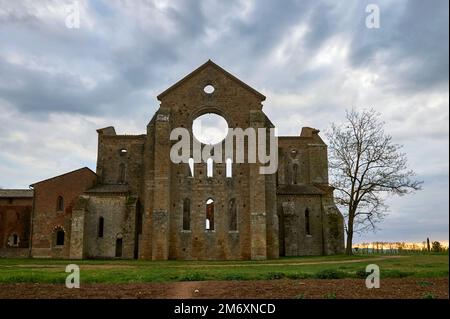 Besuch der verlassenen Abtei San Galgano Stockfoto