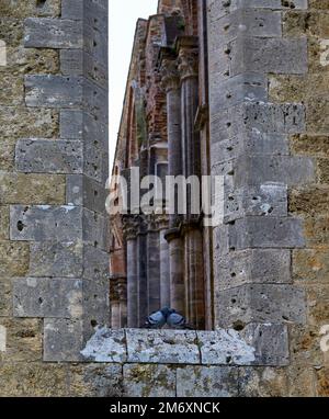 Besuch der verlassenen Abtei San Galgano Stockfoto