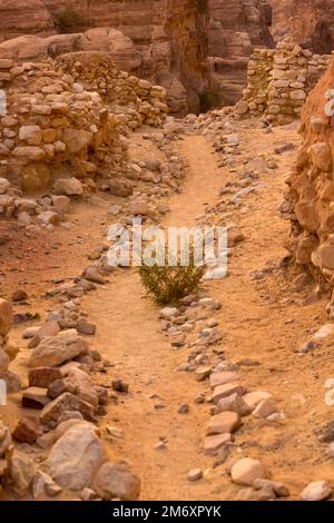 Al Beidha Ruinen einer prähistorischen Siedlung im Nahen Osten, in der Nähe von Little Petra Siq al-Barid, Jordanien Stockfoto