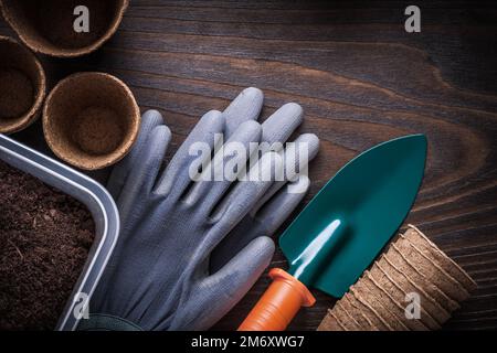 Handschaufel Gummihandschuhe Gartenkiste mit Boden- und Torfgläsern auf altem Holzhintergrund Landwirtschaftskonzept. Stockfoto