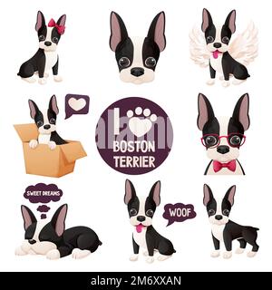 Setze süße Boston Terrier Sticker, cooles süßes Hündchen im Cartoon-Stil isoliert auf weißem Hintergrund. Süßer Hund, Aufdruck. Vektordarstellung Stock Vektor