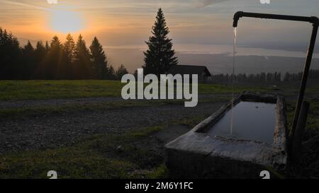 Sonnenuntergang auf dem Berg mit Sonnenstrahlen, die durch Tannen und Holzbrunnen vor dem Berg scheinen, und Bodensee im Hintergrund in Dornbirn, Vorarlberg, Stockfoto