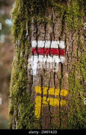 Markierung einer langen Wanderstrecke (weiß und rot). Reiseplan-Pfad. Markierung auf Holz. Inkraftsetzung der Richtungsänderung. Wanderweg. Markierung Stockfoto