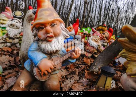 Farbenfrohe Gartenzwerge mit Gitarre an einem Ort im Wald Stockfoto