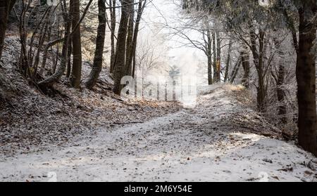 Schnee, der in der Sonne schmilzt. Schnee, der in der Hitze schmilzt. Hintergrund für die Weihnachtsfeier. Hintergrund von Schnee in der Sonne. Berglandschaft mit Schnee Stockfoto