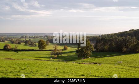 Wundervolle Landschaftsfotografie in Frankreich. Landschaftsfoto in Burgund. Landschaftsfoto im Nievre. Wiese mit Kirche und Sonne. 58 in Frankreich. Stockfoto