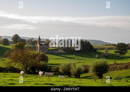 Wundervolle Landschaftsfotografie in Frankreich. Landschaftsfoto in Burgund. Landschaftsfoto im Nievre. Wiese mit Kirche und Sonne. 58 in Frankreich. Stockfoto