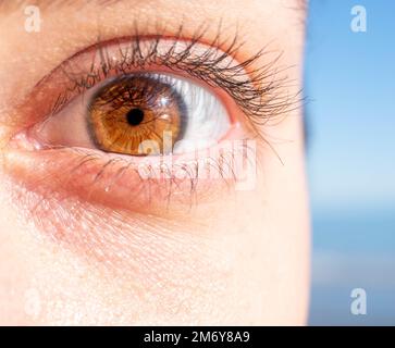 Makrofotografie eines weiblichen Auges. Menschliche Augenstruktur. Augenpupille. Menschliche Wimpern. Braune Nahaufnahme. Augenhintergrund. Stockfoto