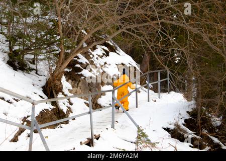 Ein Junge rennt im Winter über eine Brücke im Park Stockfoto