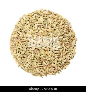 Fenchelsamen, kreisförmig, Nahaufnahme, isoliert, von oben. Scheibe aus getrockneten Vollfrüchten von Foeniculum vulgare. Aromatische und aromatische Gewürze. Stockfoto