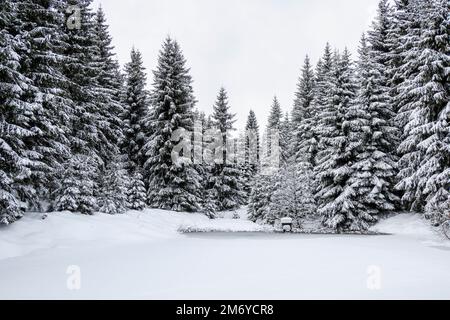 Winterlandschaft mit Bäumen und Schnee an einem bewölkten Tag im Erzgebirge. Stockfoto