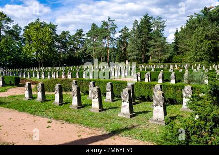 Grabhöfe auf dem Dresdner sowjetischen Garnisonfriedhof in der Dresdner Heide, Dresdner Heide. Stockfoto