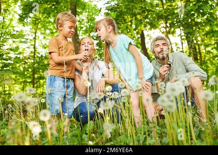 Geschwister blasen Löwenzahn mit Eltern während der Sommerreise in den Wald Stockfoto