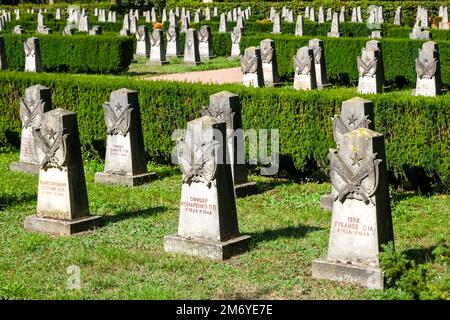 Grabhöfe auf dem Dresdner sowjetischen Garnisonfriedhof in der Dresdner Heide, Dresdner Heide. Stockfoto