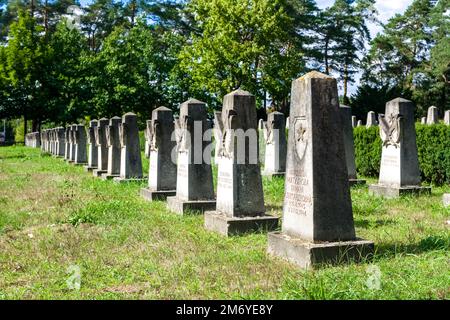 Grabhöfe auf dem Dresdner sowjetischen Garnisonfriedhof in der Dresdner Heide, Dresdner Heide. Stockfoto