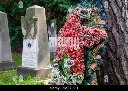 Grabhöfe auf dem Dresdner sowjetischen Garnisonfriedhof in der Dresdner Heide, Dresdner Heide. Stockfoto