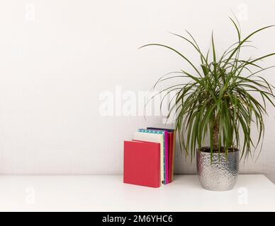 Bücher auf dem Schreibtisch, Blumentopf und Stifthalter Stockfoto